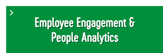 Employee Engagement & People Analytics